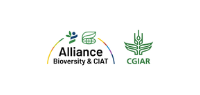 Alliance Biodiverstu & CiAT
